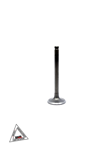 Клапаны (компл 2шт.) 153FMI 125см3