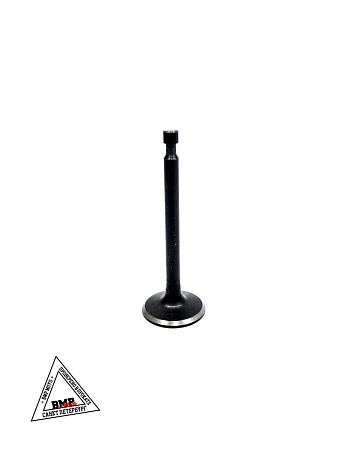 Клапаны (голые) мотоблока 177F (9Hp) "BEST" (mod.A) (D-4764)