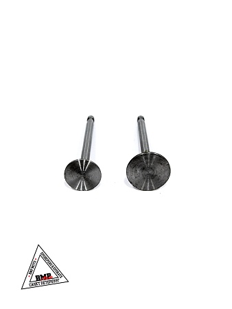 Клапаны (голые) мотоблока 180N (9Hp) "XING" (D-2859)