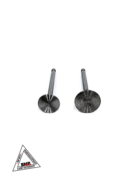 Клапаны (голые) мотоблока 180N (9Hp) "XING" (D-2859)