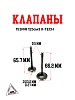 Клапаны 153FMI 125см3 X-TECH