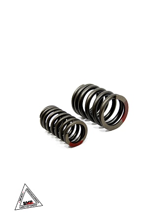 Пружины клапанов 194MQ (NC450) (компл.=2шт) ZS