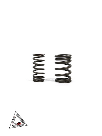 Пружины клапана (компл.2шт.) GR7 двиг. ZS 172FMM (воздушный)