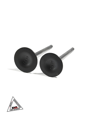 Клапаны ГРМ YX173FMN (SC300) YX300GY-C5K (Комплект 2 шт)