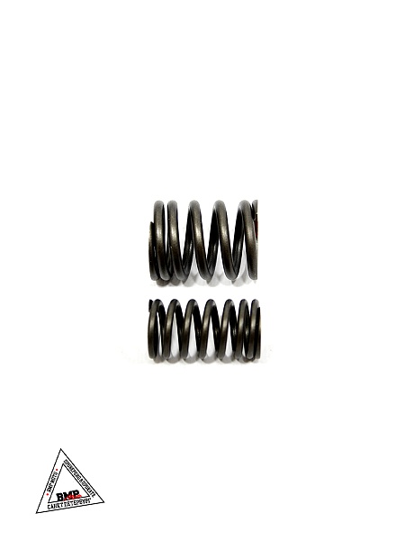 Пружины клапанов 194MQ (NC450) (компл.=2шт) ZS