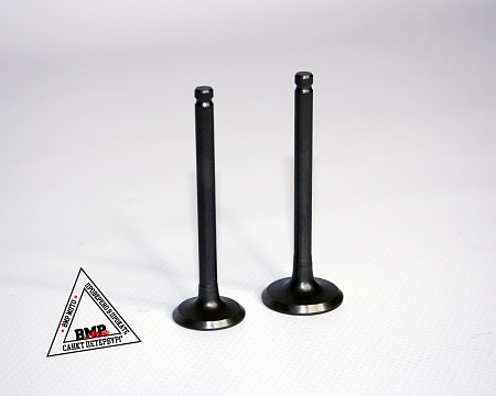 Клапаны (компл 2шт.) 152FMH
110см3