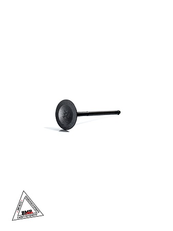 Клапан впускной BSE ZS174MN-5A (100159115)