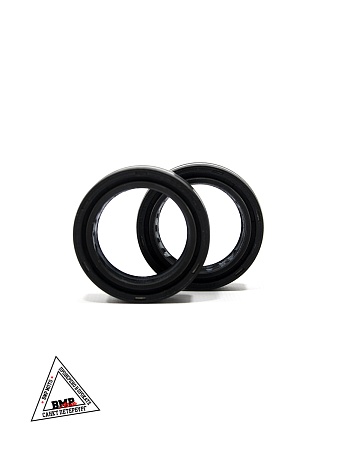 Сальники передних амортизаторов, набор (2 шт) (для RT 19\16) WELS RT