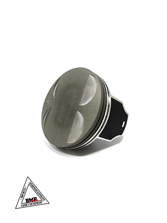 Поршень 450сс BSE ZS194MQ (100069235)