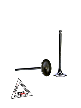 Клапаны 165FMM CB250D-G BMP-moto