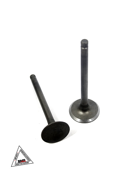 Клапаны (компл 2шт.) 153FMI 125см3