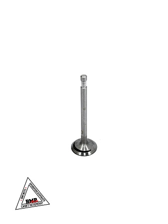 Клапаны (голые) мотоблока 180N (9Hp) "XING" (D-2859)