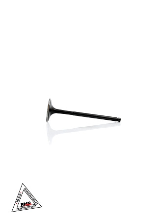 Клапан впускной BSE ZS174MN-5A (100159115)