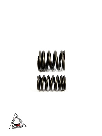 Пружины клапанов 194MQ (NC450) (компл.=2шт) ZS