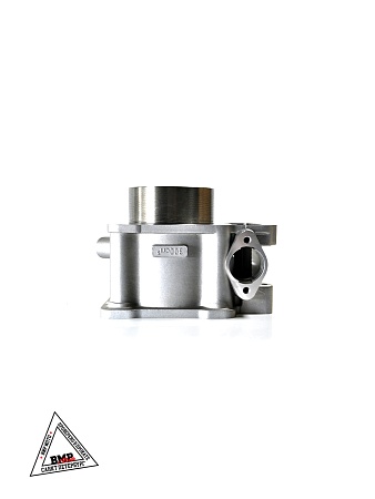 Цилиндр в сборе BSE ZS174MN-5A (100104401-0005)