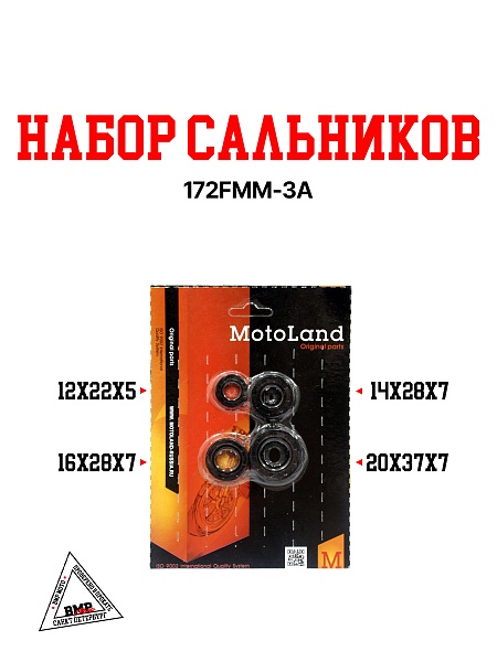 Набор сальников 172FMM-3A