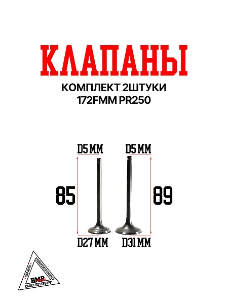 Клапаны 172FMM PR250 BMP-moto