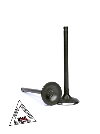 Клапаны 172FMM PR250 BMP-moto