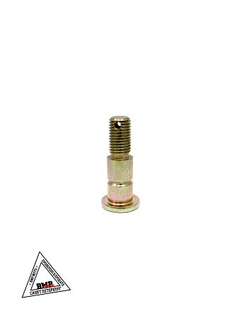 Болт крепления педали ножного тормоза WELS EVO125