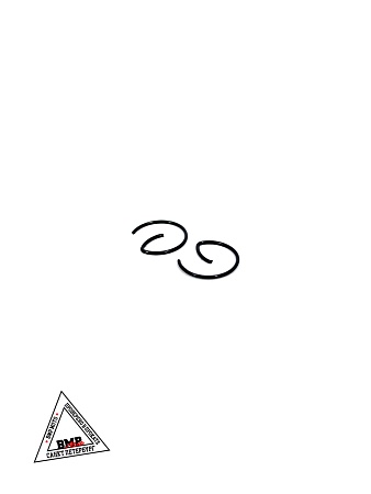 Поршень в сборе 4T GY6-125cc 152QMI, D52.40мм, h-37мм, p-15мм; STD (00002309)