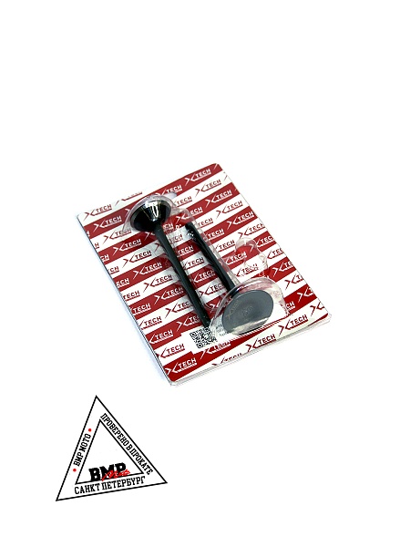 Клапаны 172FMM-5 PR250 X-TECH