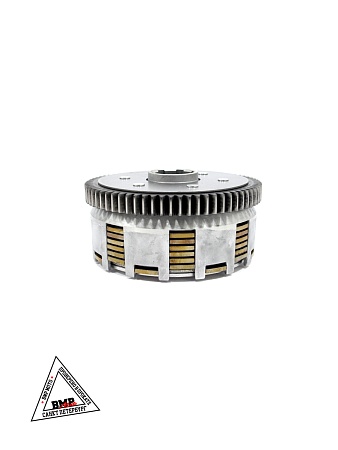 Сцепление в сборе CB250R BSE ZS172FMM ZS172FMM-6(CB250R) (100202857)