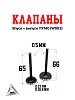 Клапаны впуск+выпуск YX140 (W063)