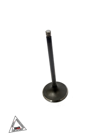 Клапаны ГРМ 169FMM (CB250) (компл=2шт)