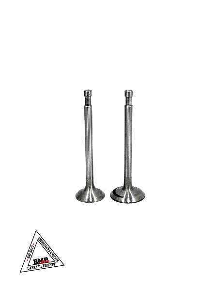 Клапаны (голые) мотоблока 180N (9Hp) "XING" (D-2859)