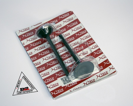 Клапаны 172FMM-5 PR250 X-TECH