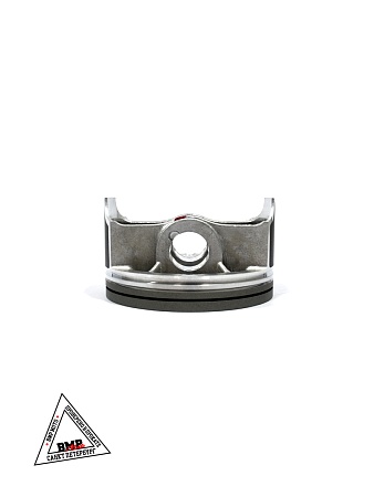 Поршень 450сс BSE ZS194MQ (100069235)