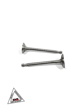 Клапаны (голые) мотоблока 180N (9Hp) "XING" (D-2859)