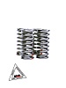 Пружина клапана ГРМ 177MM (NC250) /174MN-3 (CBS300) (компл=4шт) ZS