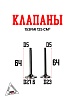 Клапаны 153FMI 125см3 BMP-moto
