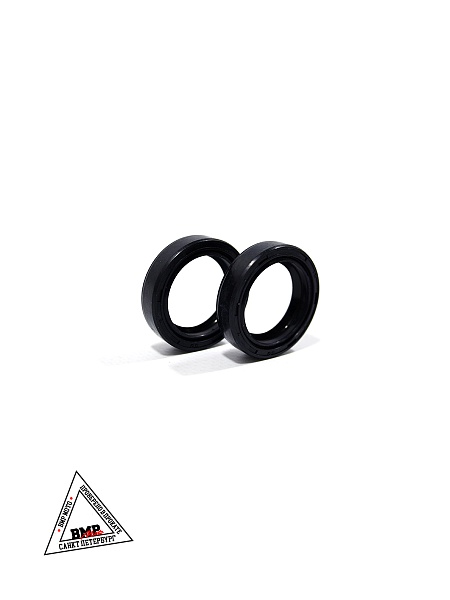 Сальники прогрессии (пара) 22x30x7 GR500