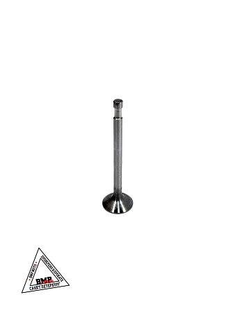 Клапаны (голые) мотоблока 180N (9Hp) "XING" (D-2859)