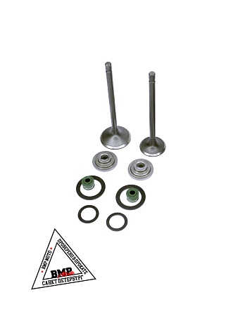 Рем. комплект клапанов ГРМ 162FMJ,164FML,166FML,166FMM 167FMM,170FMM (CGN/NT/CBN/CBB)