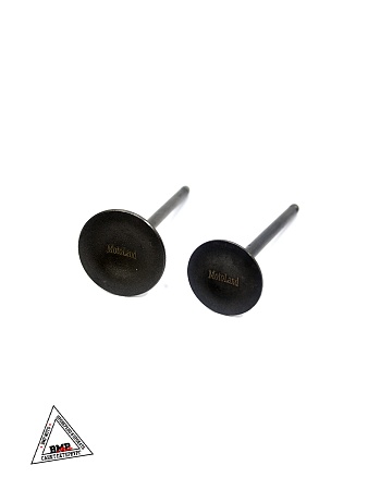 Клапаны ГРМ 169FMM (CB250) (компл=2шт)