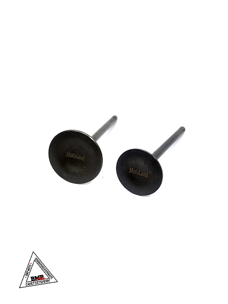 Клапаны ГРМ 169FMM (CB250) (компл=2шт)