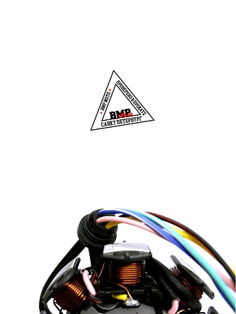 Статор генератора 165FMM 
(CG/CB) 250см3 ZS X-TECH