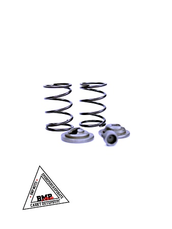 Пружины+тарелки клапанов (компл.) 168F/170F