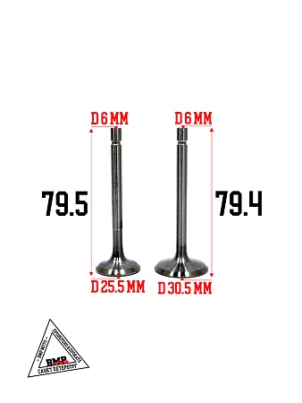 Клапаны (в сборе) мотоблока 178F (6Hp) "DIGGER" (D-2354)
