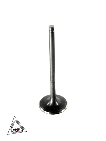 Клапан впускной BSE ZS174MN-5A (100159115)