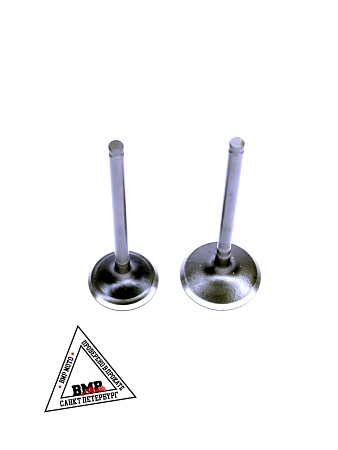 Клапаны (компл.=2шт) 190см3 162YMJ ZS190 (W190) X-TECH