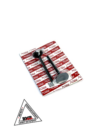 Клапаны 172FMM-5 PR250 X-TECH