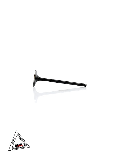 Клапан впускной BSE ZS174MN-5A 