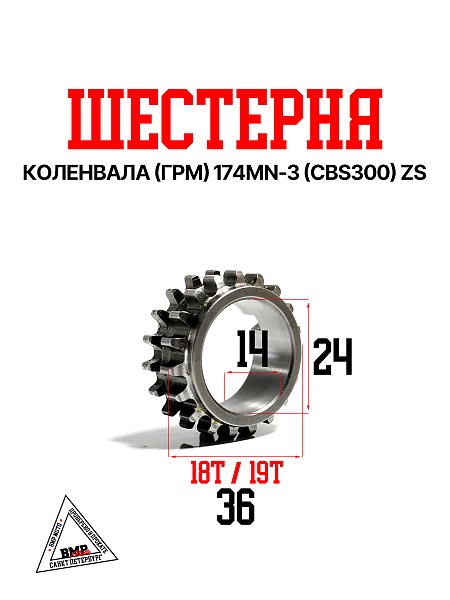 Шестерня коленвала (ГРМ) 174MN-3 (CBS300) ZS