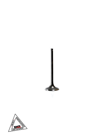 Клапаны 172FMM PR250 BMP-moto