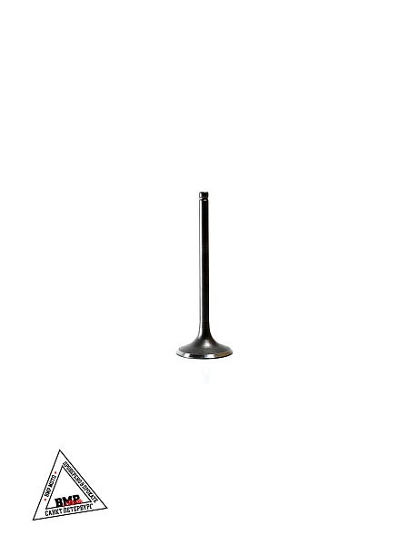 Клапаны 172FMM PR250 BMP-moto