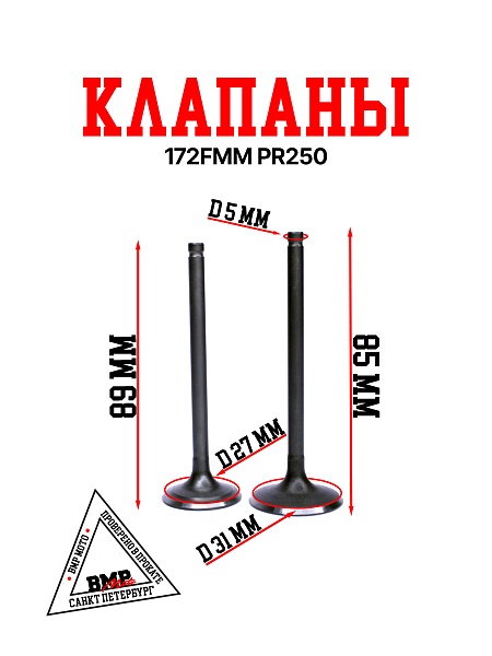 Клапаны 172FMM PR250 BMP-moto